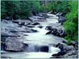 knowledge Flows